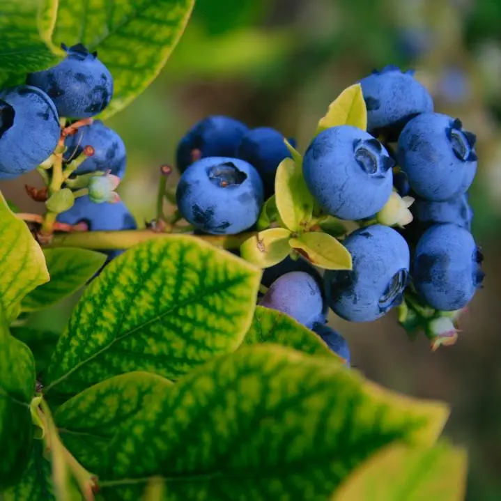 1622774296792542.jpg 646.jpg